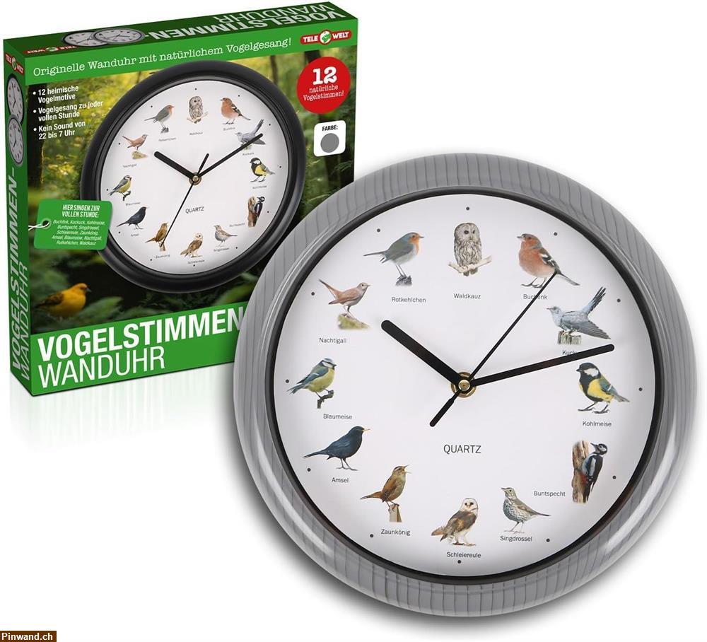 Bild 1: Verkauf: Wanduhr mit Vogelstimmen in 3 Farben