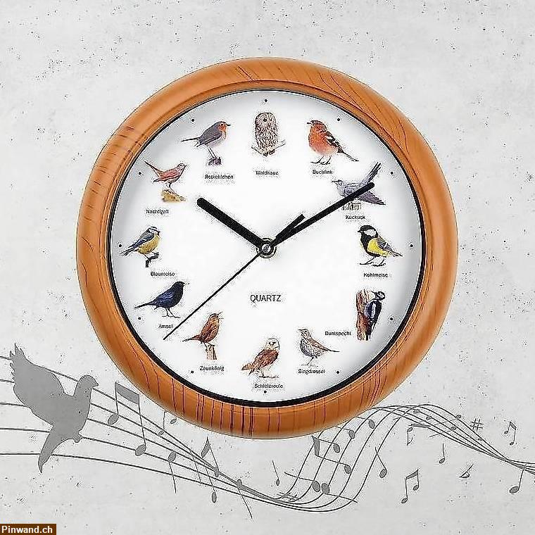Bild 3: Verkauf: Wanduhr mit Vogelstimmen in 3 Farben