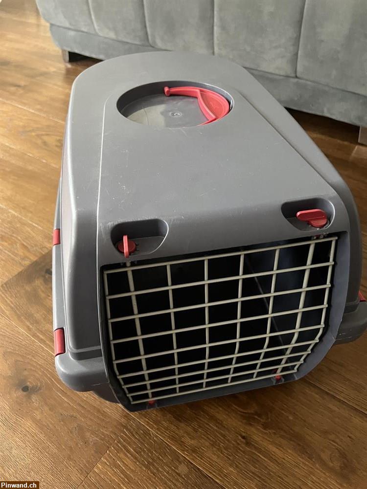 Bild 2: Kleintier Box zu verkaufen