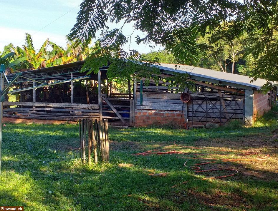 Bild 5: Haus mit großem Grundstück in Aguapety / Paraguay