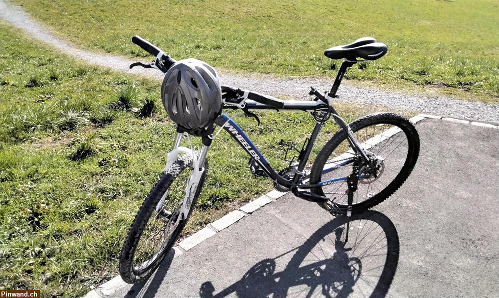 Bild 2: Herren Wheeler Bike zu verkaufen