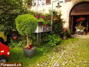 Bild 2: Dachwohnung im 3. Stock zu vermieten in Muttenz BL