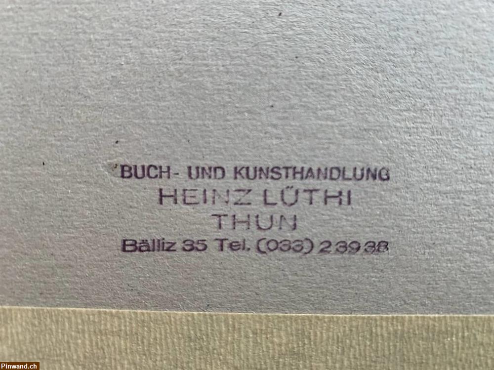 Bild 4: Schöner, seltener historischer Stich von Thun BE