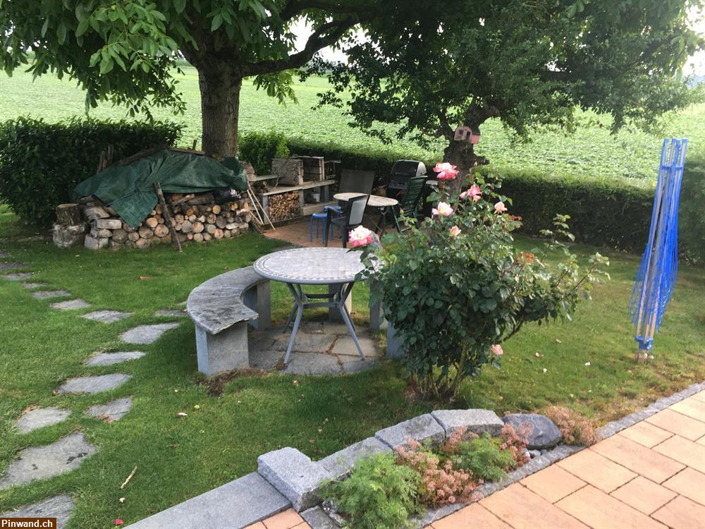 Bild 12: Ferienhaus-Einfamilienhaus 6Km ab Basel-und Allschwil BL