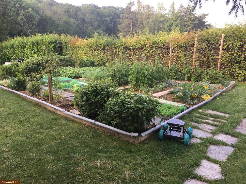 Bild 14: Ferienhaus-Einfamilienhaus 6Km ab Basel-und Allschwil BL