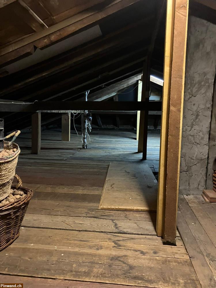 Bild 16: Ferienhaus-Einfamilienhaus 6Km ab Basel-und Allschwil BL