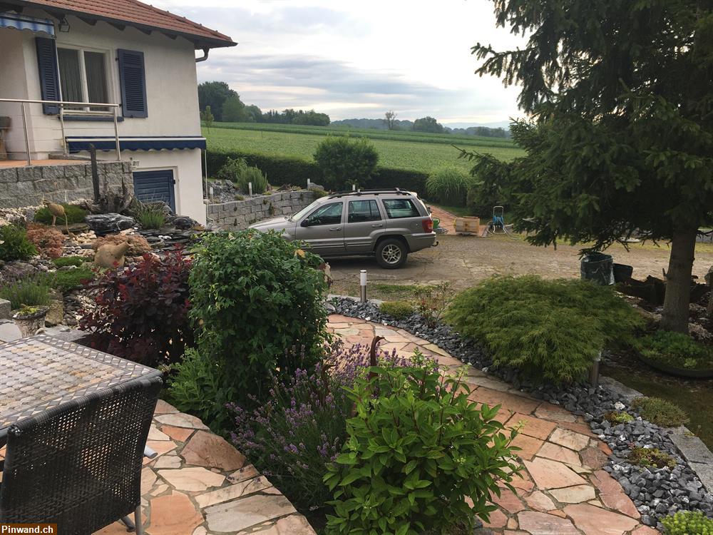 Bild 19: Ferienhaus-Einfamilienhaus 6Km ab Basel-und Allschwil BL