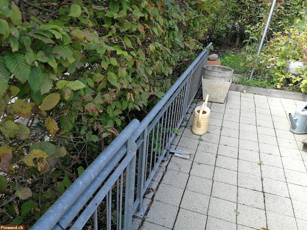 Bild 3: Sockelgeländer zu verkaufen