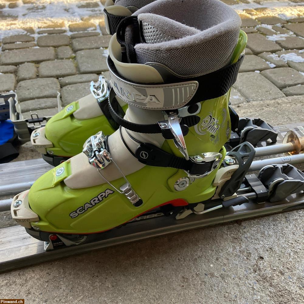 Bild 3: Tourenski Völkel und Skischuhe 39 zu verkaufen