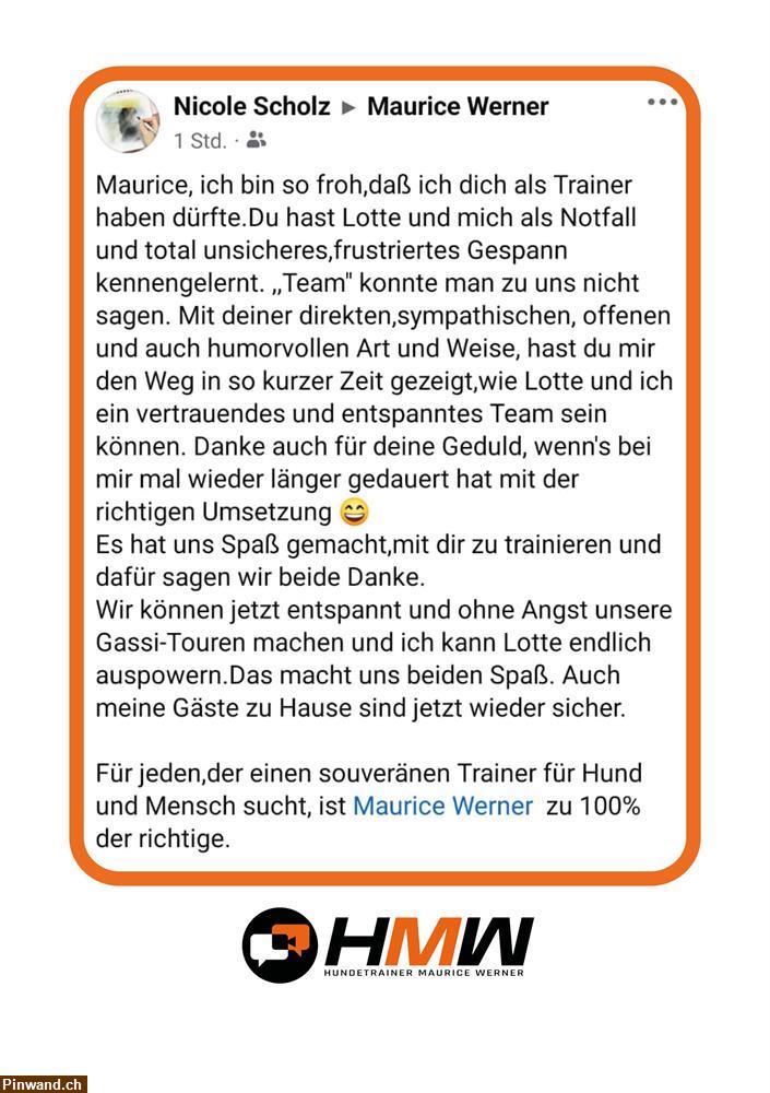Bild 6: Professionelles Hundetraining – Persönlich oder auch via Video
