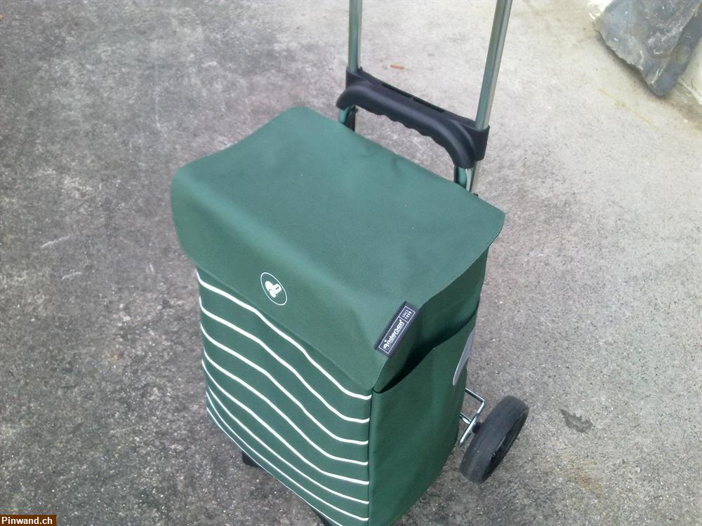 Bild 2: Einkaufstrolley von Andersen zu verkaufen