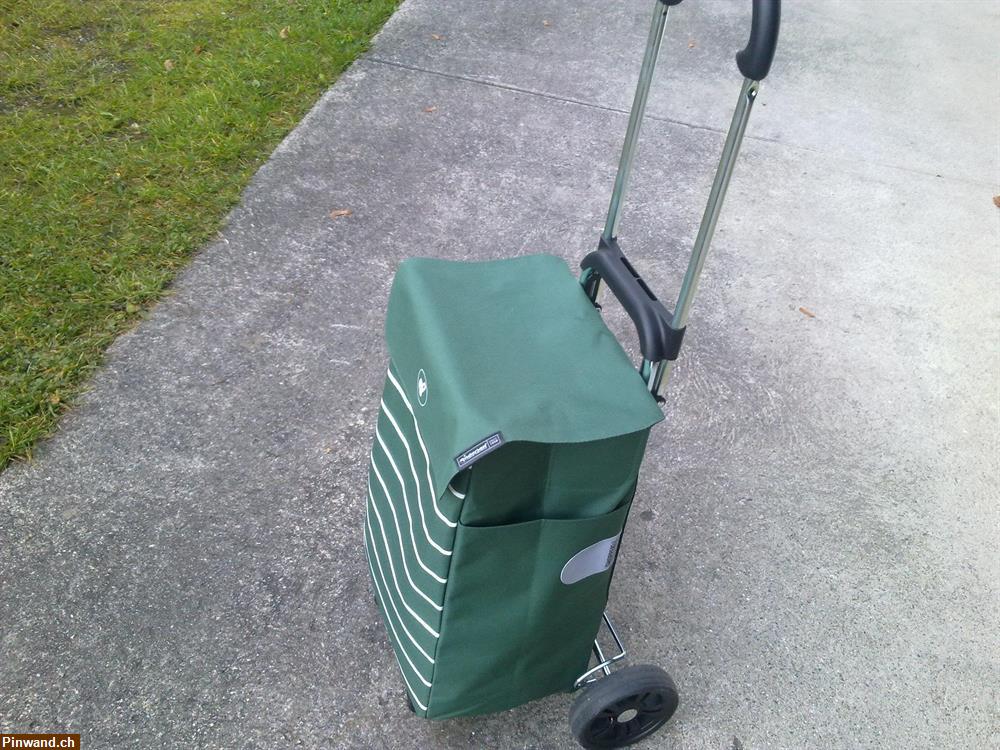 Bild 3: Einkaufstrolley von Andersen zu verkaufen