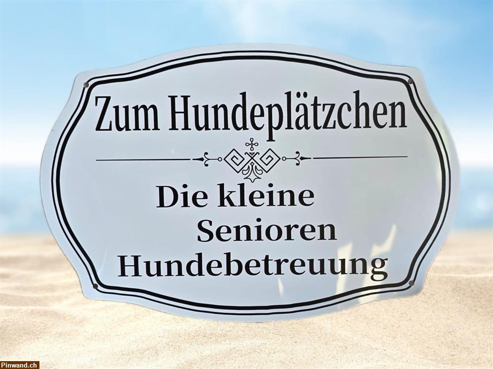 Bild 1: Hundebetreuung für Seniorenhunde