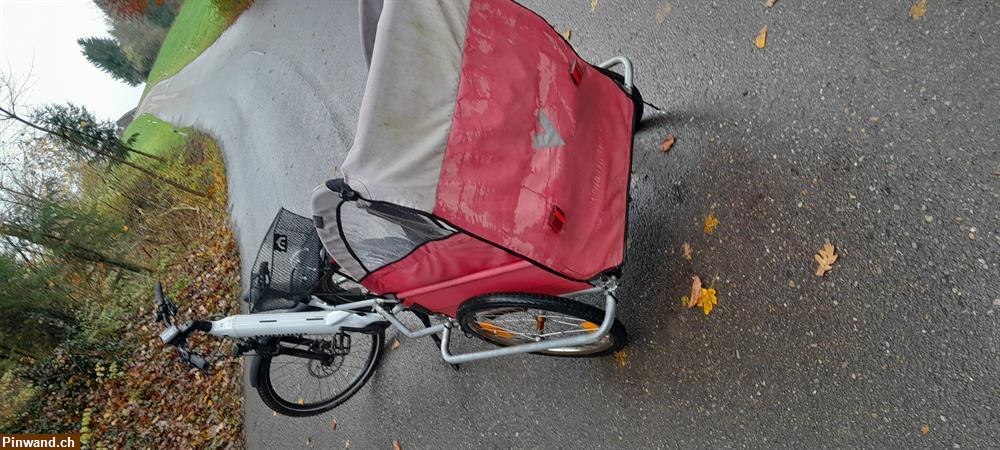 Bild 2: E-Bike mit Anhänger, Damen City Bike