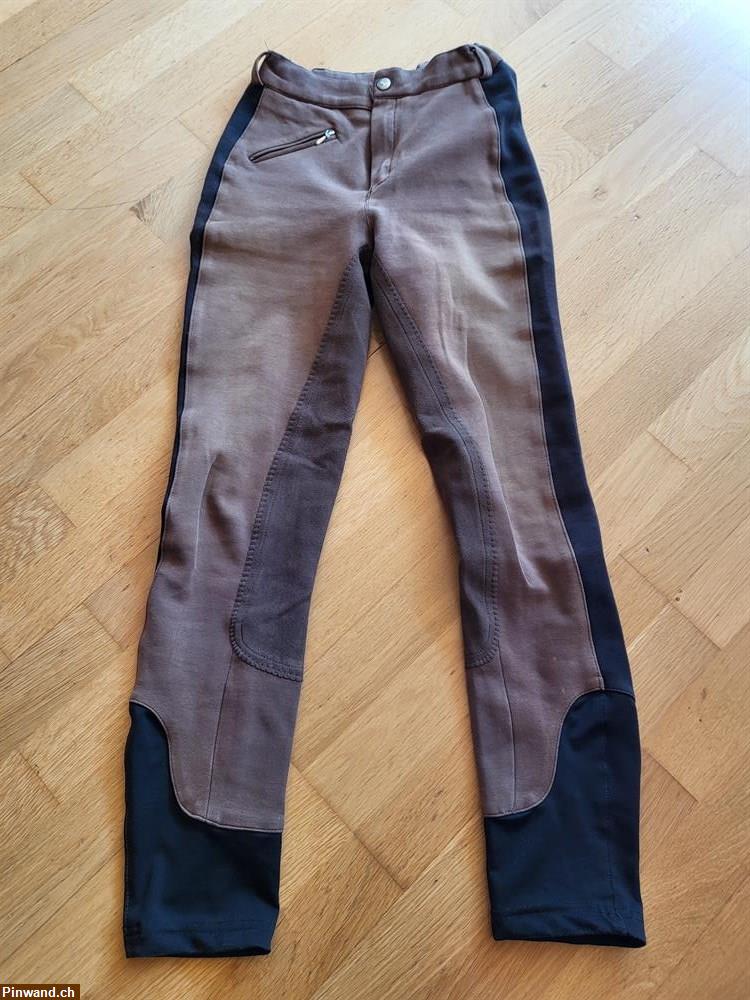 Bild 2: 2 Reithosen Gr. 176 zu verkaufen