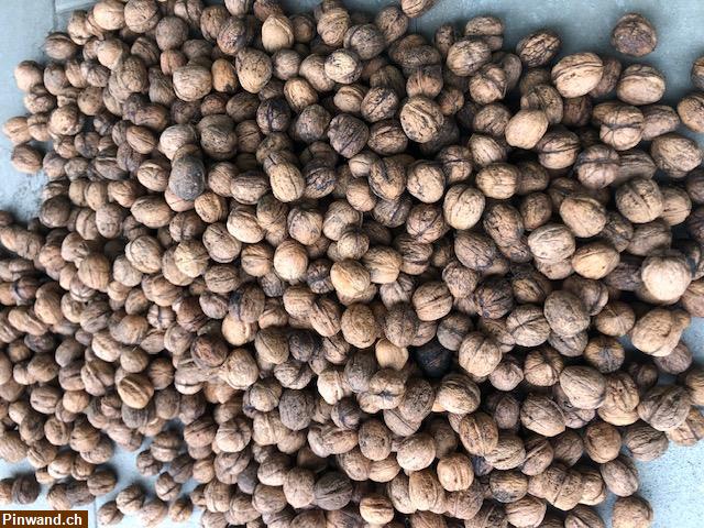 Bild 1: Frische Baumnüsse ungespritzt zu verkaufen