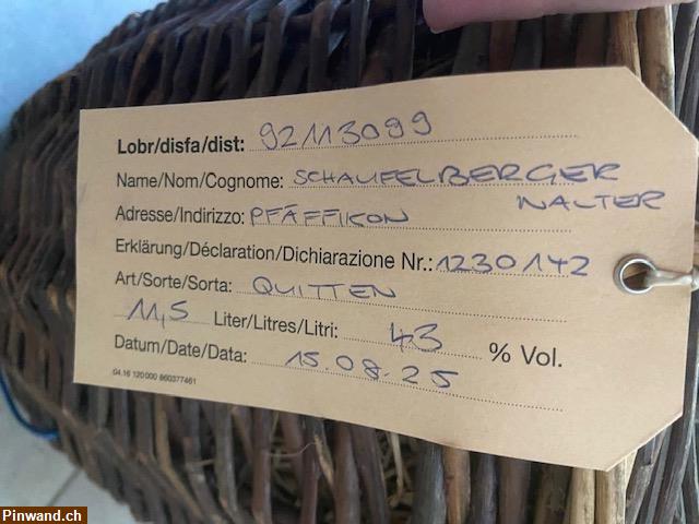 Bild 1: Quitten-Schnaps zu verkaufen