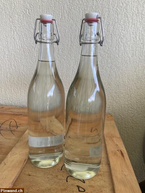 Bild 2: Quitten-Schnaps zu verkaufen