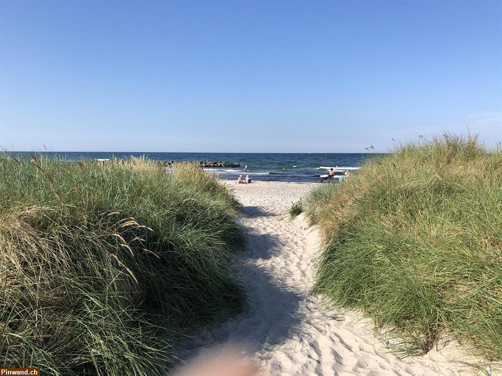 Bild 15: OSTSEE-FERIENHAUS für 2-11 Personen zu vermieten