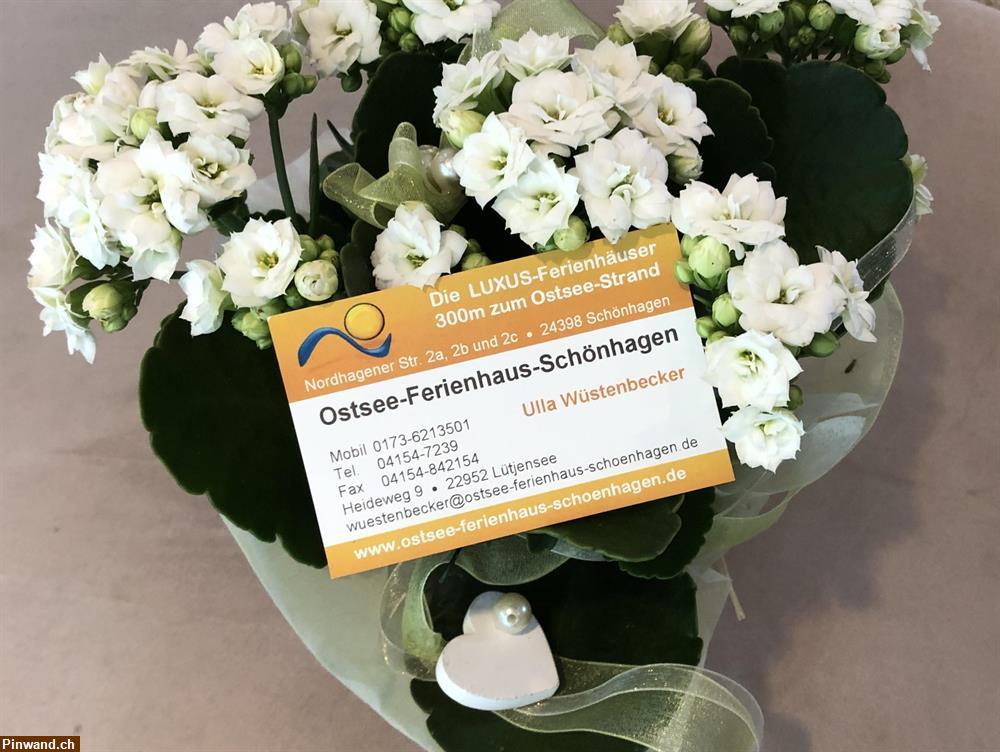 Bild 17: OSTSEE-FERIENHAUS für 2-11 Personen zu vermieten