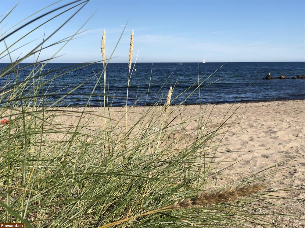 Bild 4: OSTSEE-FERIENHAUS für 2-11 Personen zu vermieten