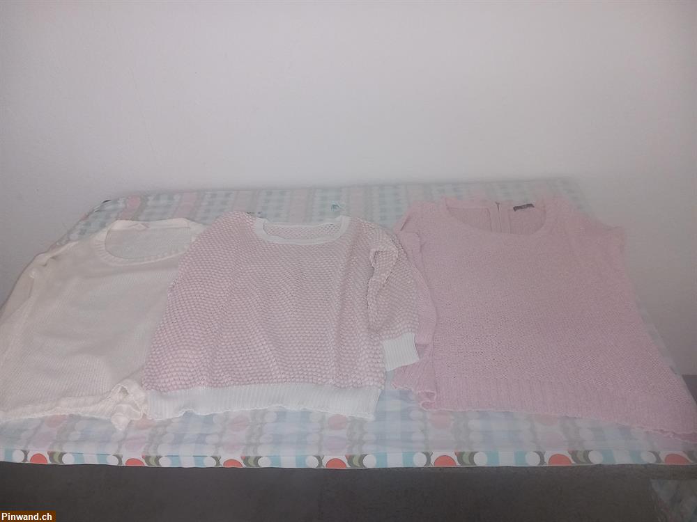Bild 2: Diverse Pullover zu verkaufen