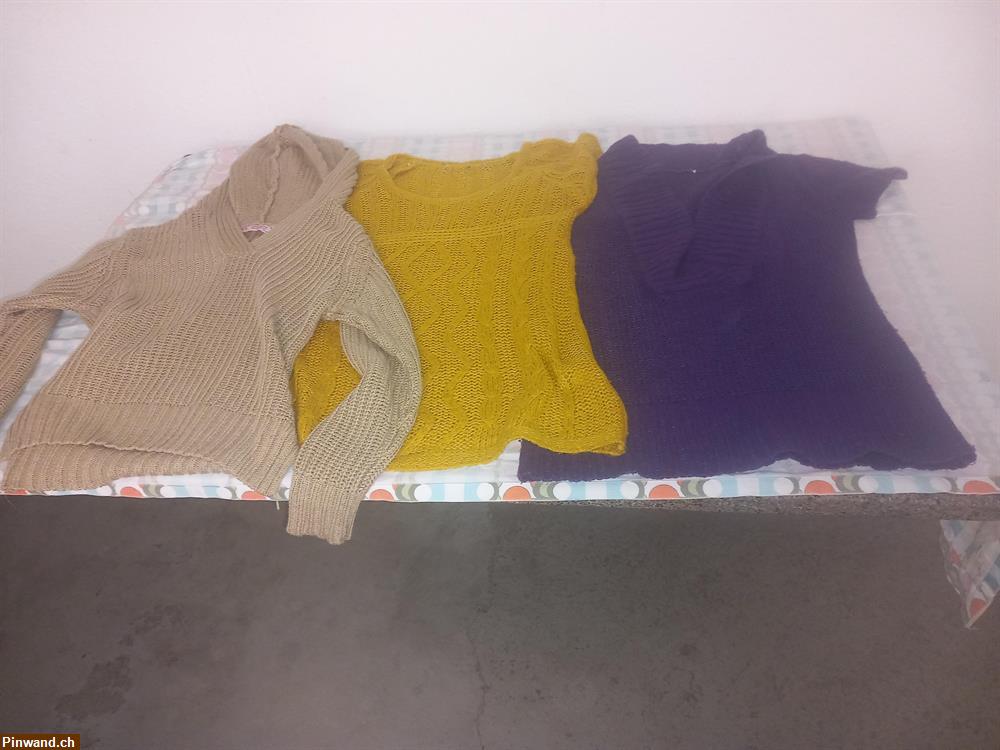Bild 3: Diverse Pullover zu verkaufen