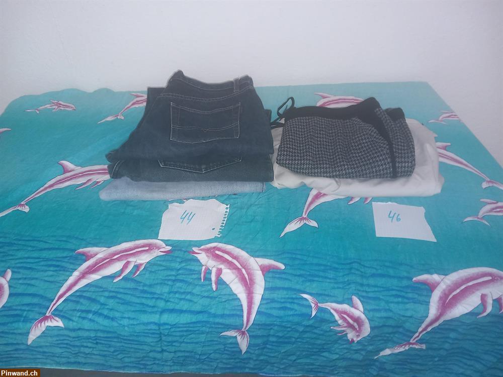 Bild 3: Diverse Hosen zu verkaufen