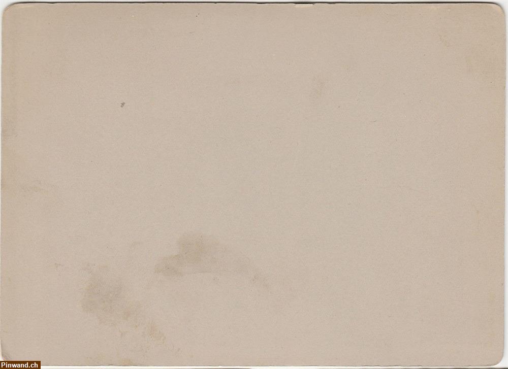 Bild 3: Saurer Lastwagen, Ed. Brun - Wädenswil um 1920 / Vintage