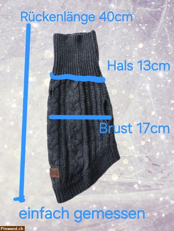 Bild 3: Winter Strickpullover für Hunde Gr. S zu verkaufen