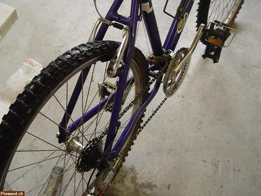 Bild 3: Mountenbike Velo zu verkaufen