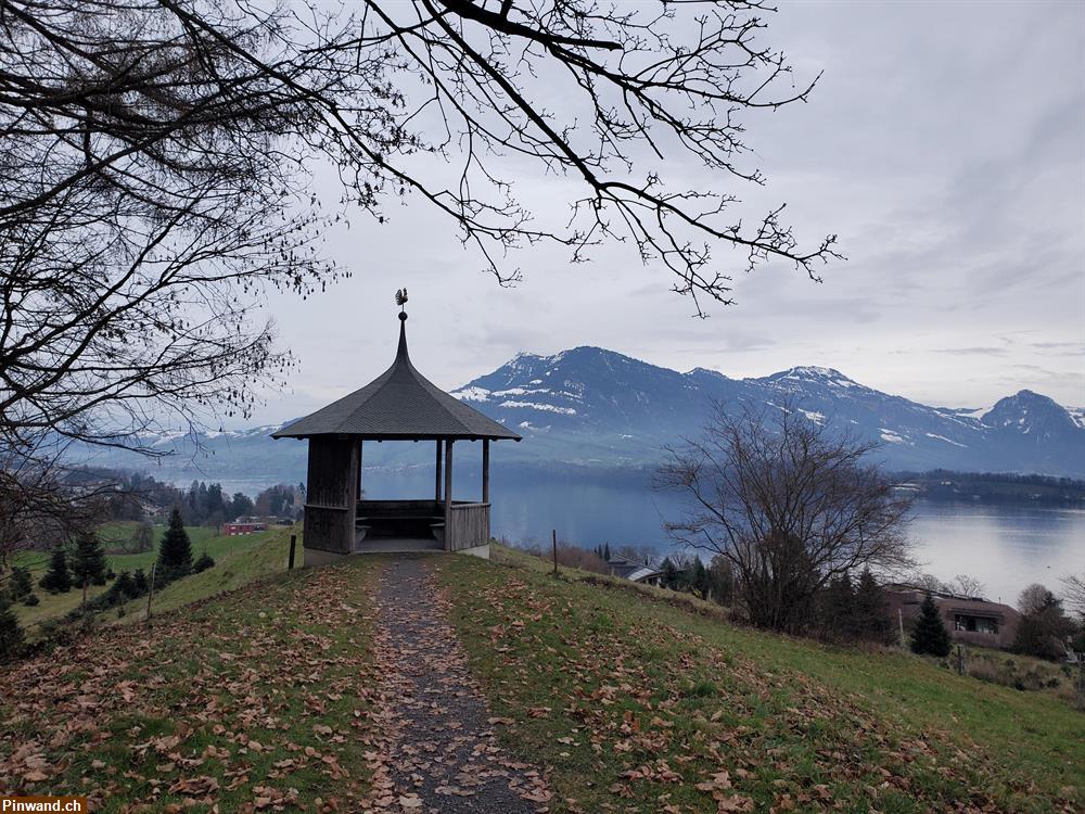 Bild 1: Wohnung mit einer Hausbetreuungsaufgabe gesucht
