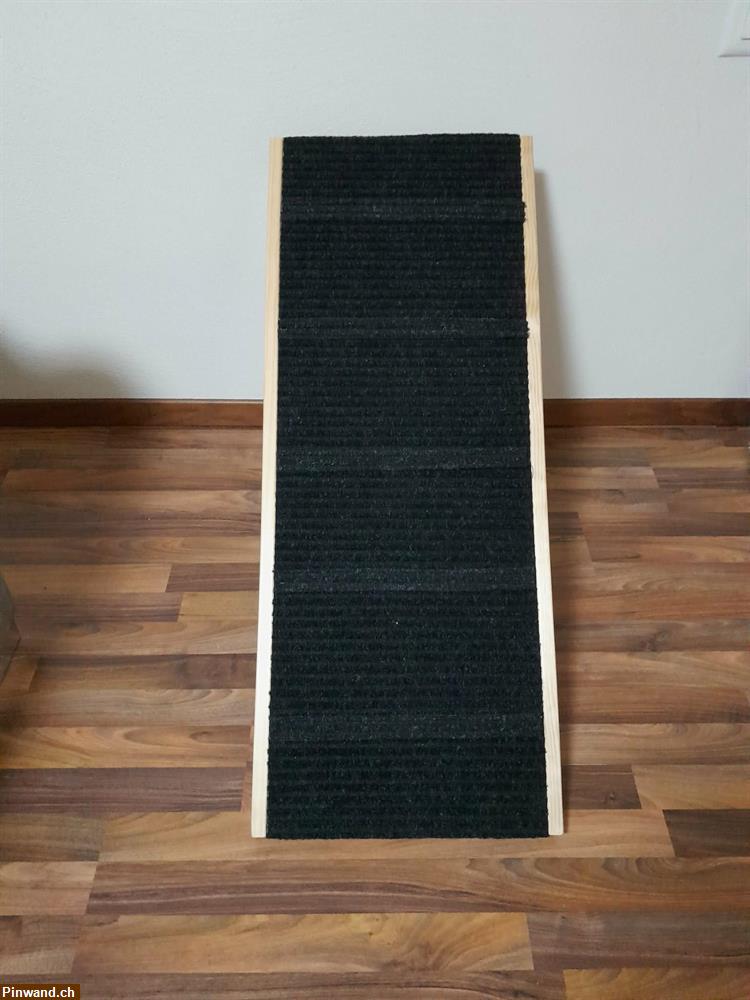 Bild 2: Hunde - Katzenrampe zu verkaufen