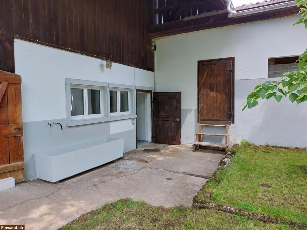 Bild 4: Bauernhaus mit Nebengebäuden in Laupen (ZH) zu vermieten