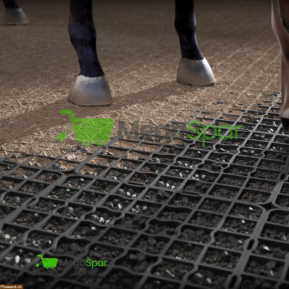 Bild 1: Rasengitter & Paddockplatten aus Kunststoff zu verkaufen