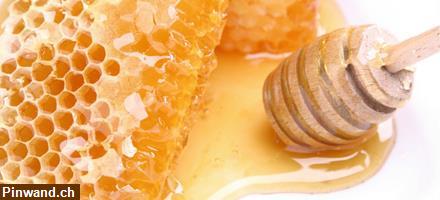 Bild 5: BIOKOSMA Aufbauende Körpercreme Aprikose Honig Bio 200 ml, NEU