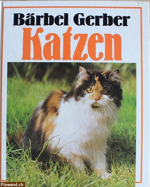 Bild 1: Katzen Ratgeber von  Bärbel Gerber