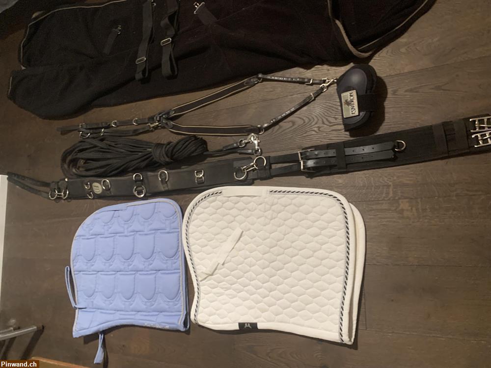 Bild 3: Pferdezubehör zu verkaufen