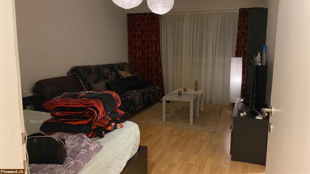 Bild 1: 1.5 Zi- Wohnung in Witikon ZH zu vermieten