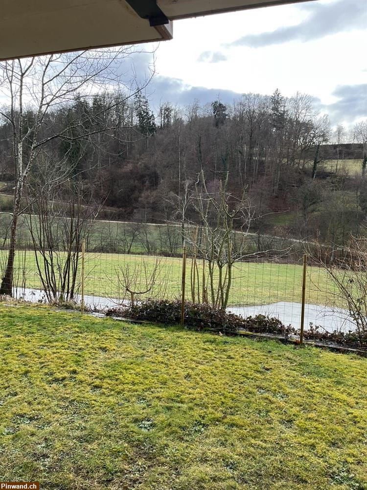 Bild 1: Ruhige 2.5 Zi- Wohnung zu vermieten