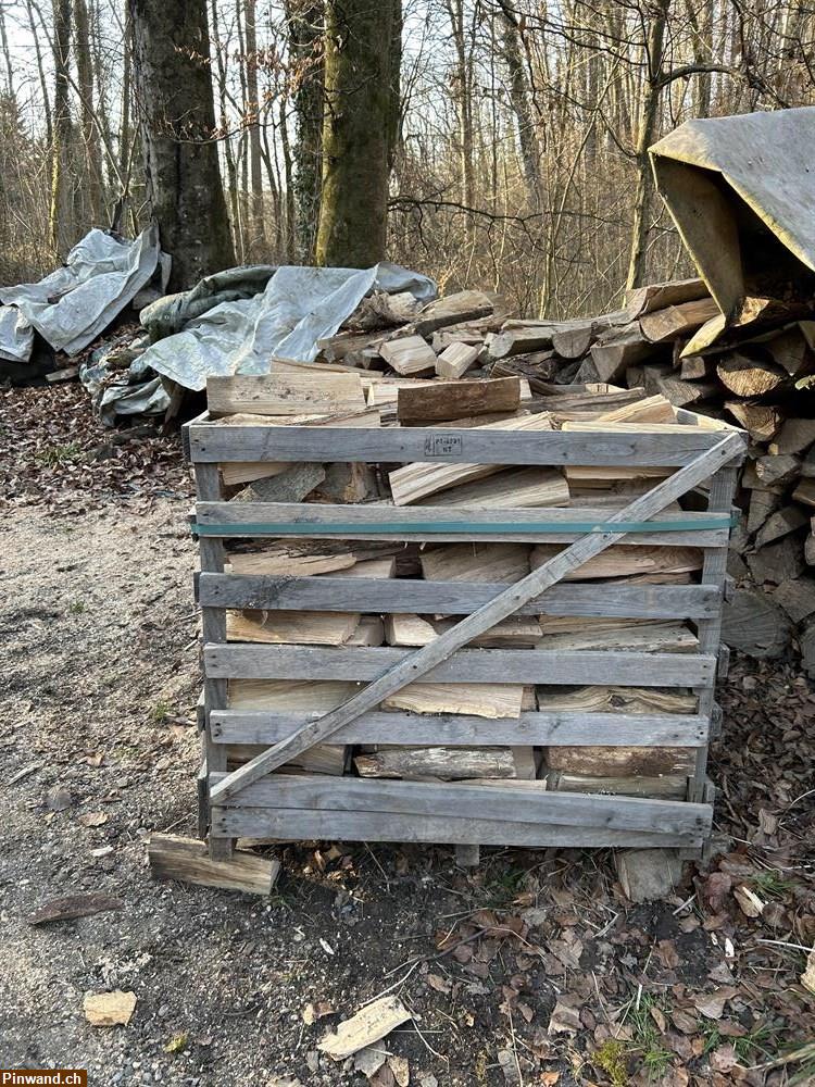 Bild 1: Chemineholz frisch, nicht gelagert, zu verkaufen