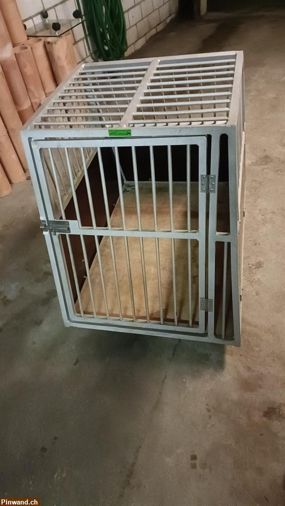 Bild 2: Hundebox MEIKO zu verkaufen