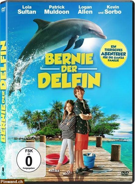 Bild 1: Bernie, der Delfin - Abenteuerkomödie auf Blu-ray