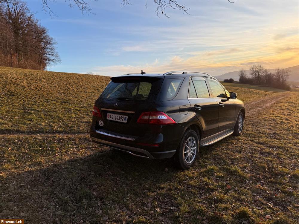 Bild 2: Zugfahrzeug für Pferdeanhänger mit 3500 Kg Anhängelast