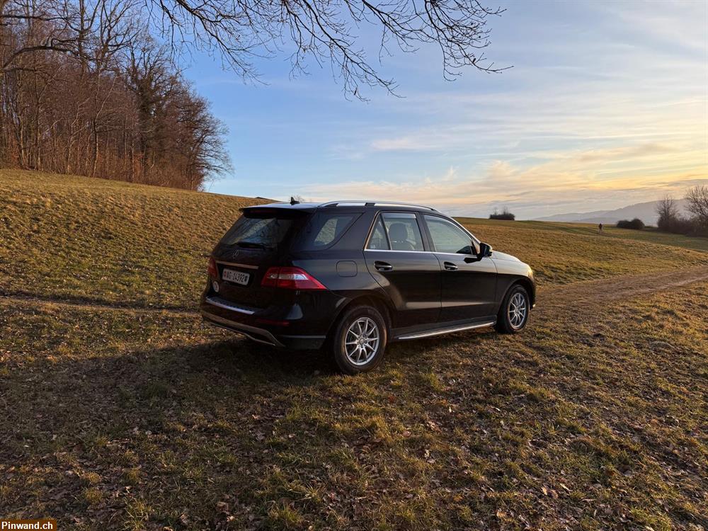 Bild 3: Zugfahrzeug für Pferdeanhänger mit 3500 Kg Anhängelast