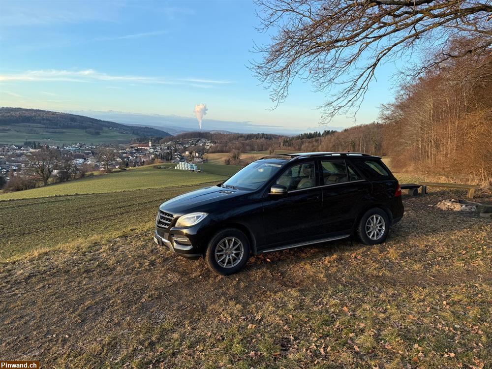 Bild 5: Zugfahrzeug für Pferdeanhänger mit 3500 Kg Anhängelast