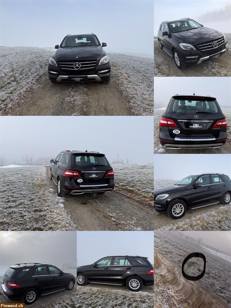 Bild 8: Zugfahrzeug für Pferdeanhänger mit 3500 Kg Anhängelast