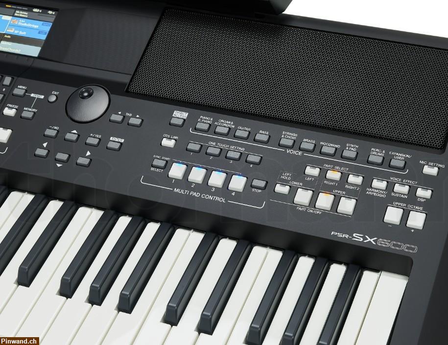 Bild 6: YAHAMA PSR SX600 zu verkaufen