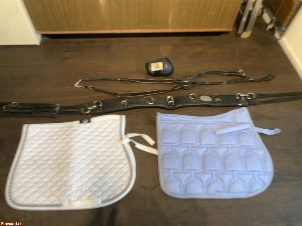 Bild 1: Pferdezubehör zu verkaufen