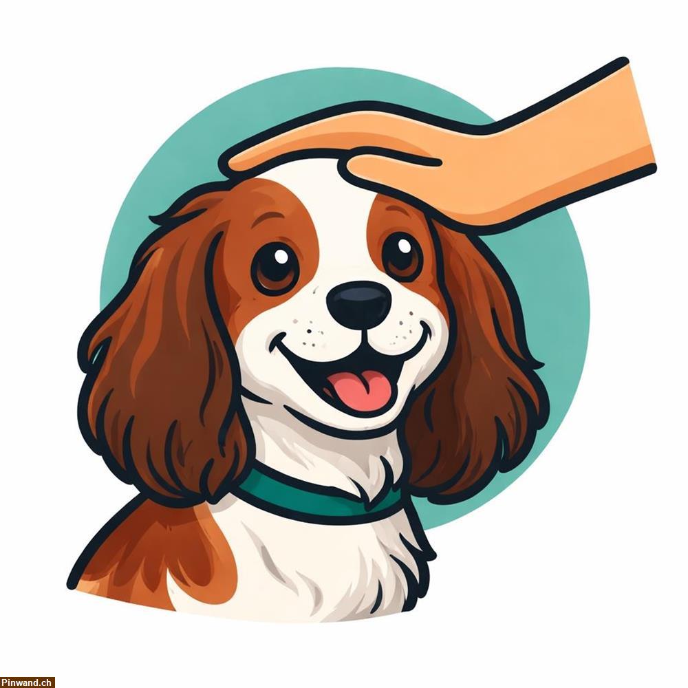 Bild 1: Hundebetreuung für kleine Fellnasen